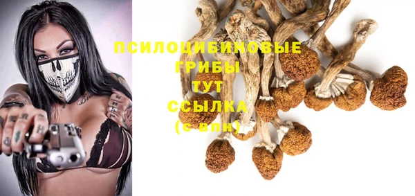 мяу мяу мука Майский
