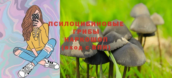 синтетический гашиш Медвежьегорск